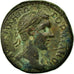 Coin, Gordian III, Tetrassaria, Nikopolis, AU(50-53), Copper