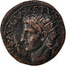 Augustus, As, Roma, AU(50-53), Copper, Cohen #244, 10.80