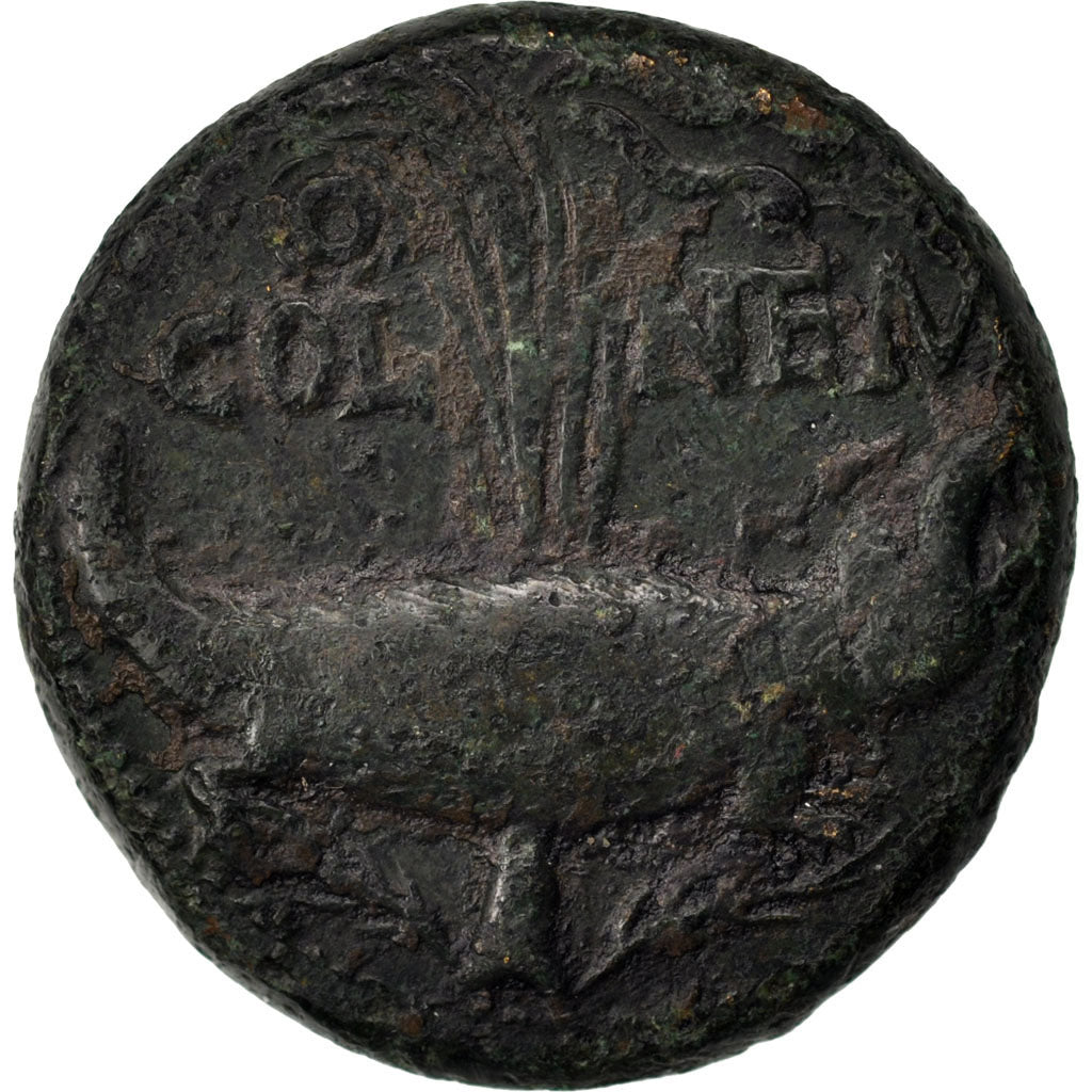 Dupondius, Nemausus, VF(30-35), Copper, Cohen #8, 13.50