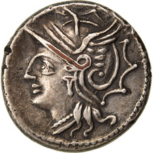 Appuleia, Denarius, Roma, AU(50-53), Silver, 3.50