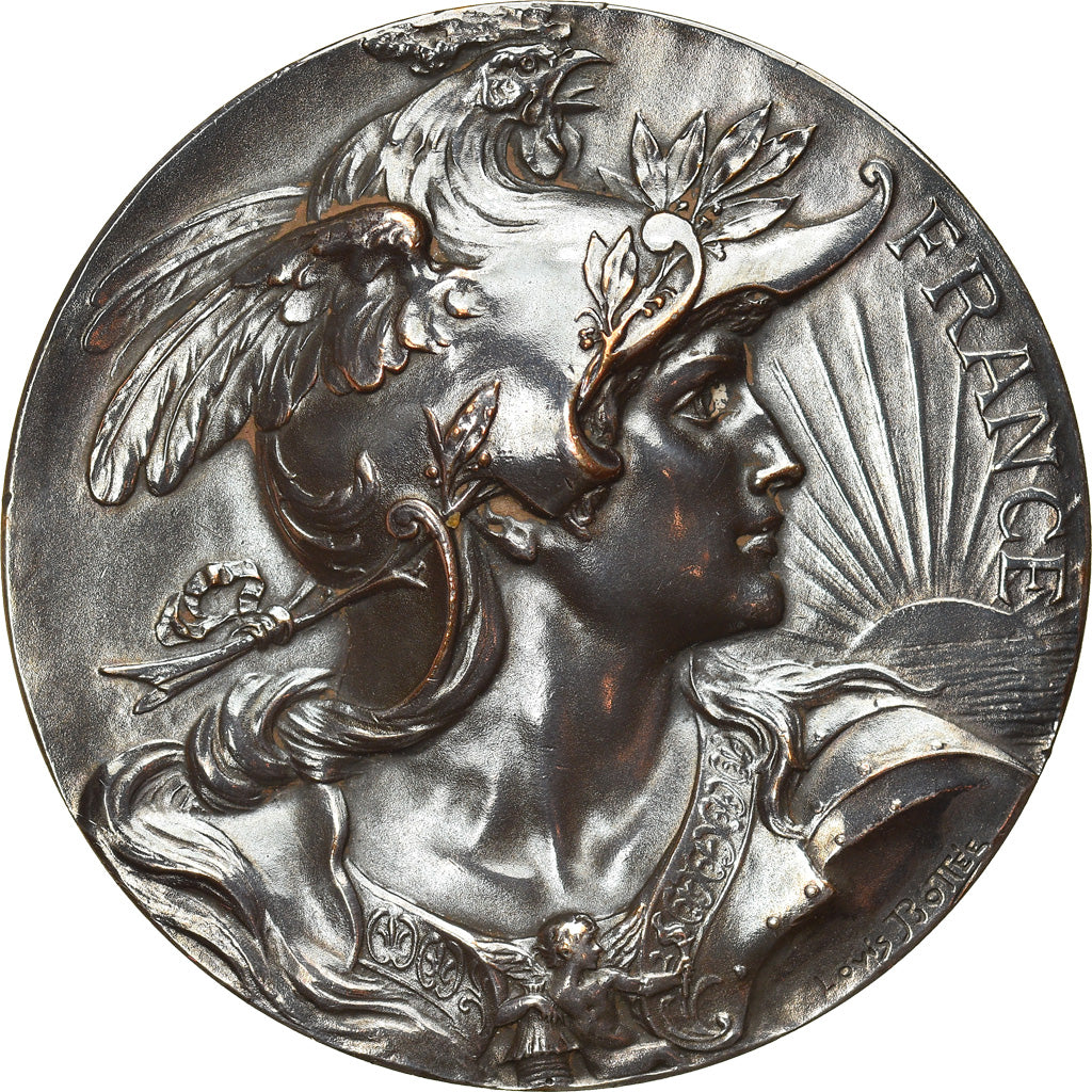 France, Médaille, Offert par M. Lavoinne, Sénateur, Politics, Society, War