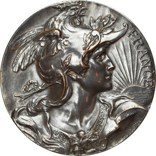 France, Médaille, Offert par M. Lavoinne, Sénateur, Politics, Society, War