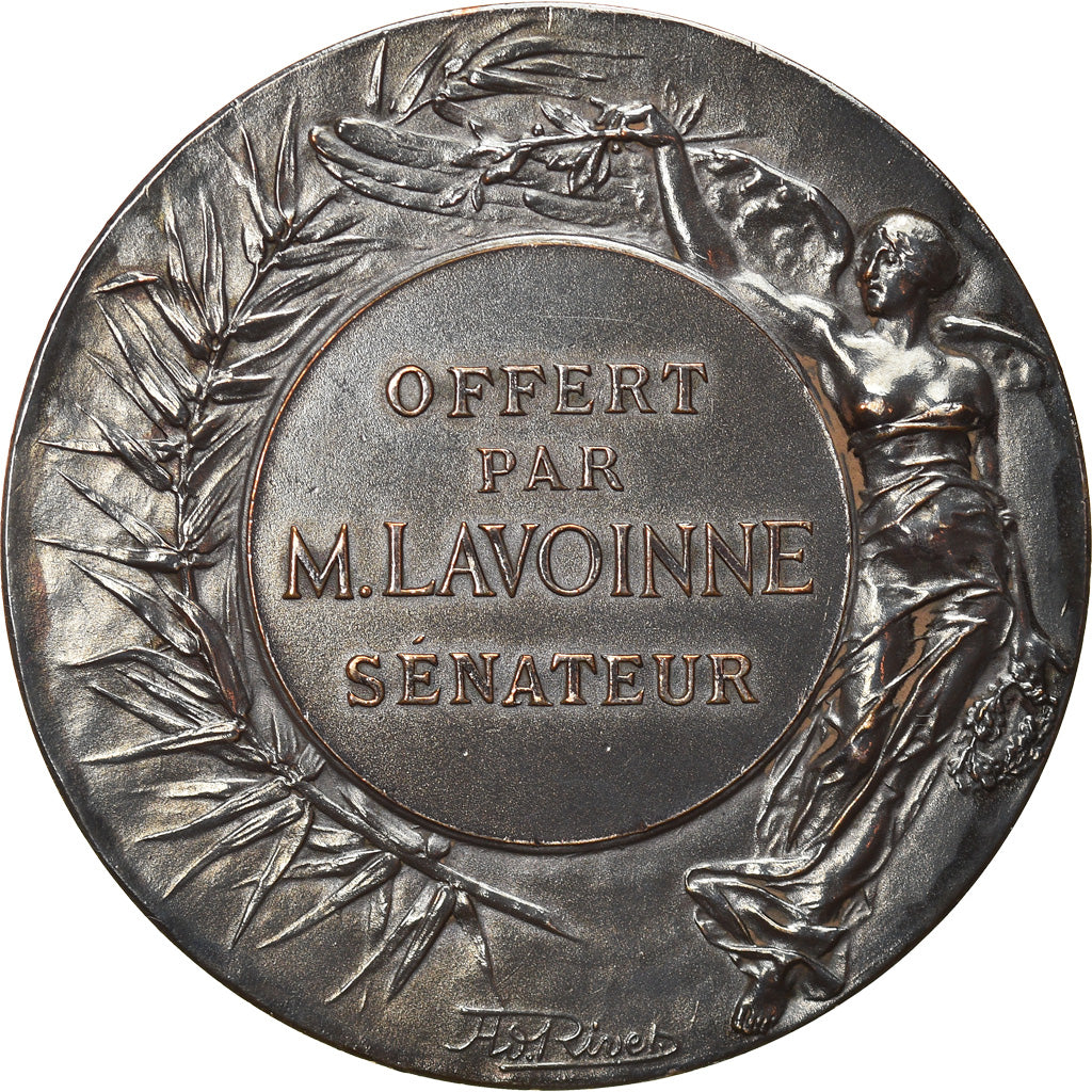 France, Médaille, Offert par M. Lavoinne, Sénateur, Politics, Society, War