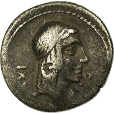 Coin, Calpurnia, Denarius, Roma, AU(50-53), Silver