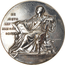 Francja, Medal, Droit, Justice, H.Flour, Juge Réélu, 1911, Vernon, AU(50-53)