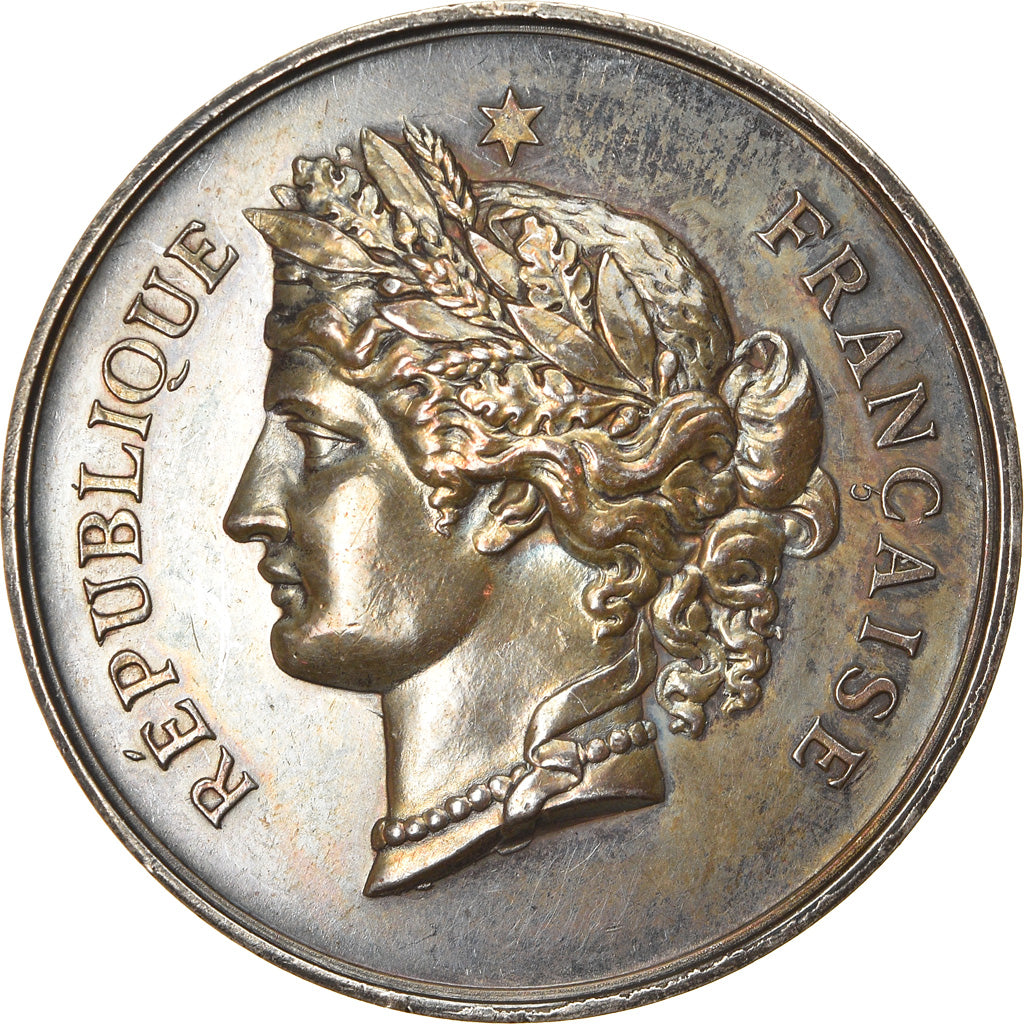 France, Medal, Ligue Patriotique Rouennaise, H.Flour, Secrétaire, 1892