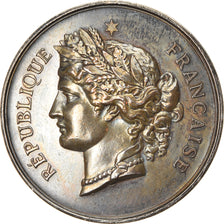 France, Medal, Ligue Patriotique Rouennaise, H.Flour, Secrétaire, 1892