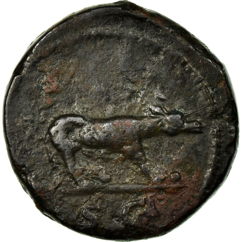 Coin, Trajan, Bronze, Roma, VF(30-35), Copper, Cohen:338