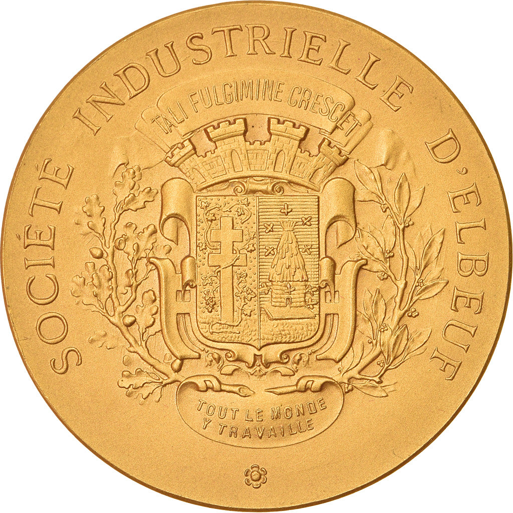 France, Medal, Société Industrielle d'Elbeuf, Business & industry, MS(64)