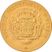 France, Medal, Société Industrielle d'Elbeuf, Business & industry, MS(64)