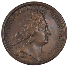 Louis XIV, Médaille, Bataille de Friedlingen