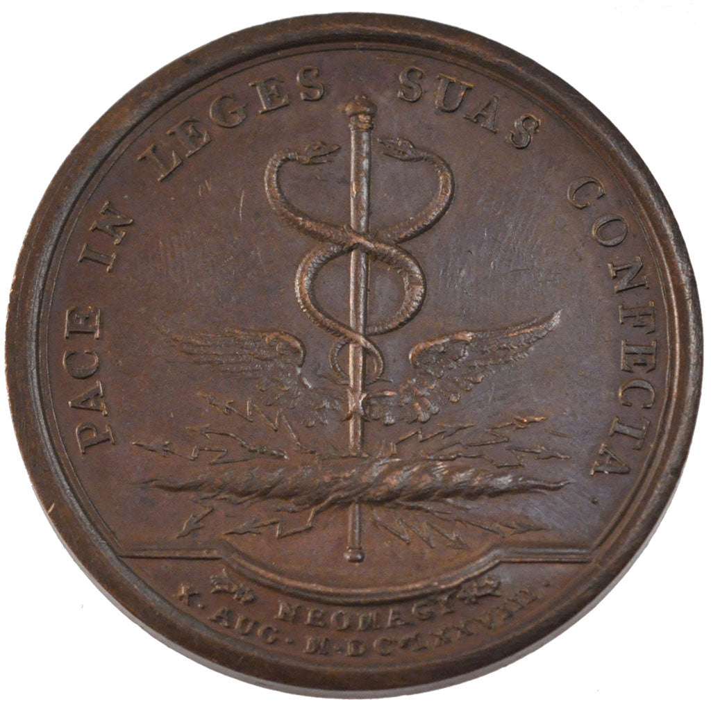 FRANCE, Politics, Society, War, Louis XIV, Medal, AU(50-53), Bronze, 41, Divo...