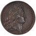 Louis XIV, Médaille, Promotion de 74 chevaliers du Saint-Esprit