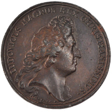 Francia, Medal, Louis XIV, Politics, Society, War, 1689, Mauger, BB, Bronzo,...