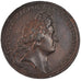 Francia, Medal, Louis XIV, Politics, Society, War, 1689, Mauger, BB, Bronzo,...