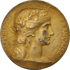 Frankreich, Medal, French Third Republic, Politics, Society, War, Dubois.H, SS