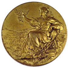 France, Medal, French Third Republic, Sciences & Technologies, AU(50-53), Bronze