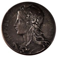 FRANCE, Politics, Society, War, French Third Republic, Medal, EF(40-45),...