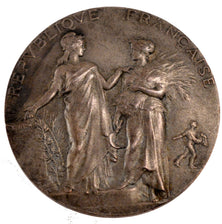 FRANCE, Business & industry, French Third Republic, Medal, AU(50-53), Dubois.A,.