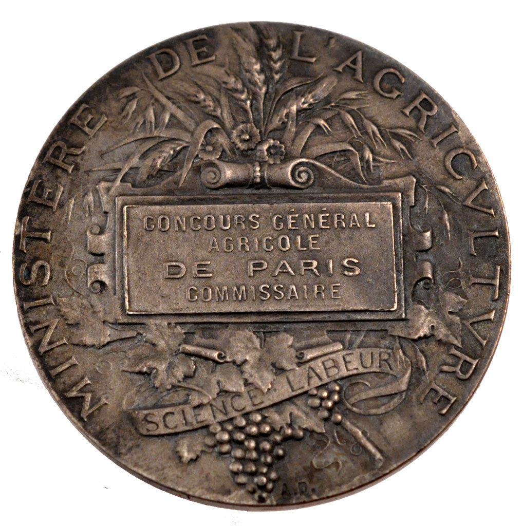 FRANCE, Business & industry, French Third Republic, Medal, AU(50-53), Dubois.A,.