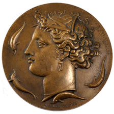FRANCE, Arts & Culture, French Third Republic, Medal, MS(60-62), Dubois.A,...