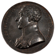 Francia, Medal, Louis XVIII, Politics, Society, War, Gatteaux, SPL-, Bronzo, 41