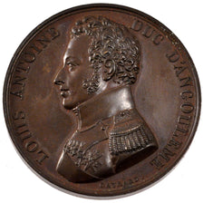 Louis Antoine Duc d'Angoulême, Médaille