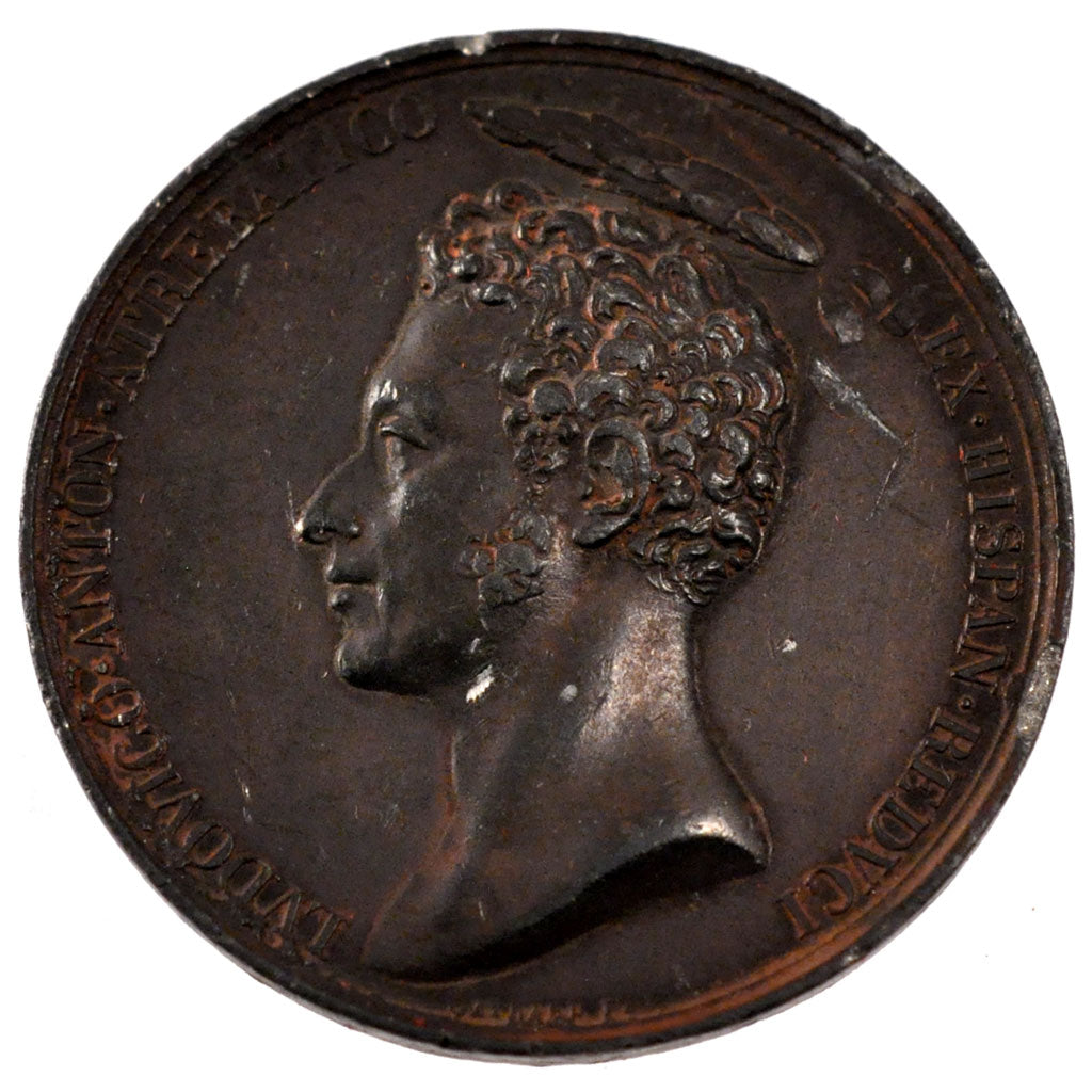 Frankreich, Medal, Louis XVIII, Politics, Society, War, 1823, Gayrard, SS
