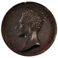 Frankreich, Medal, Louis XVIII, Politics, Society, War, 1823, Gayrard, SS