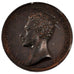 Frankreich, Medal, Louis XVIII, Politics, Society, War, 1823, Gayrard, SS