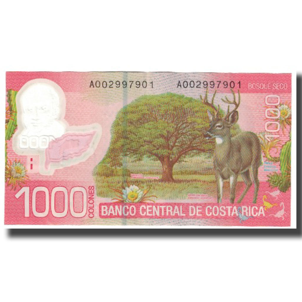 Banknote, Costa Rica, 1000 Colones, 2009, 2009-09-02, KM:274, UNC(63)