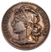 FRANCE, Politics, Society, War, French Third Republic, Medal, 1889, EF(40-45),..