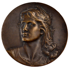 FRANCE, Politics, Society, War, French Third Republic, Medal, AU(50-53),...