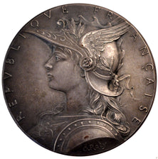 FRANCE, Politics, Society, War, French Third Republic, Medal, 1895, AU(55-58),..