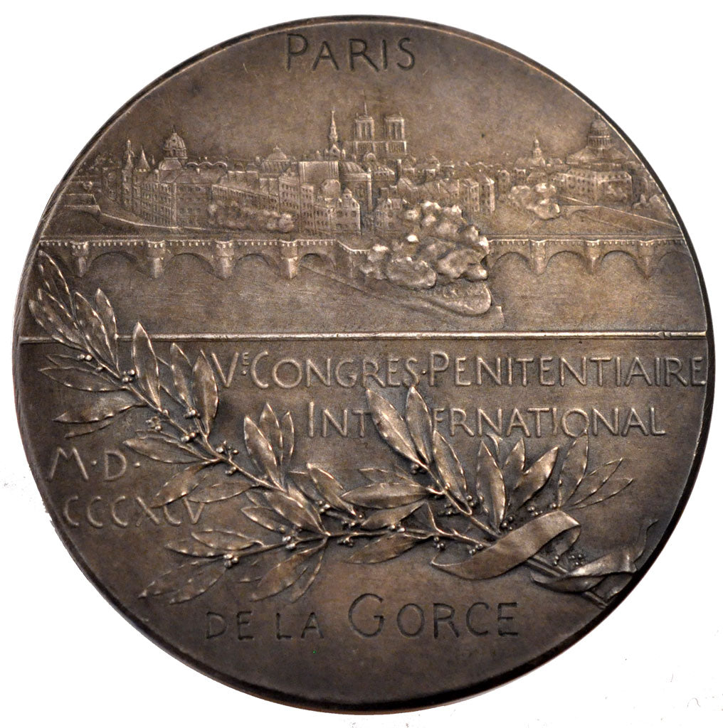 FRANCE, Politics, Society, War, French Third Republic, Medal, 1895, AU(55-58),..