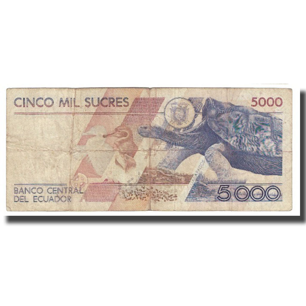 Banknote, Ecuador, 5000 Sucres, 1996, 1996-01-13, KM:128b, VF(20-25)
