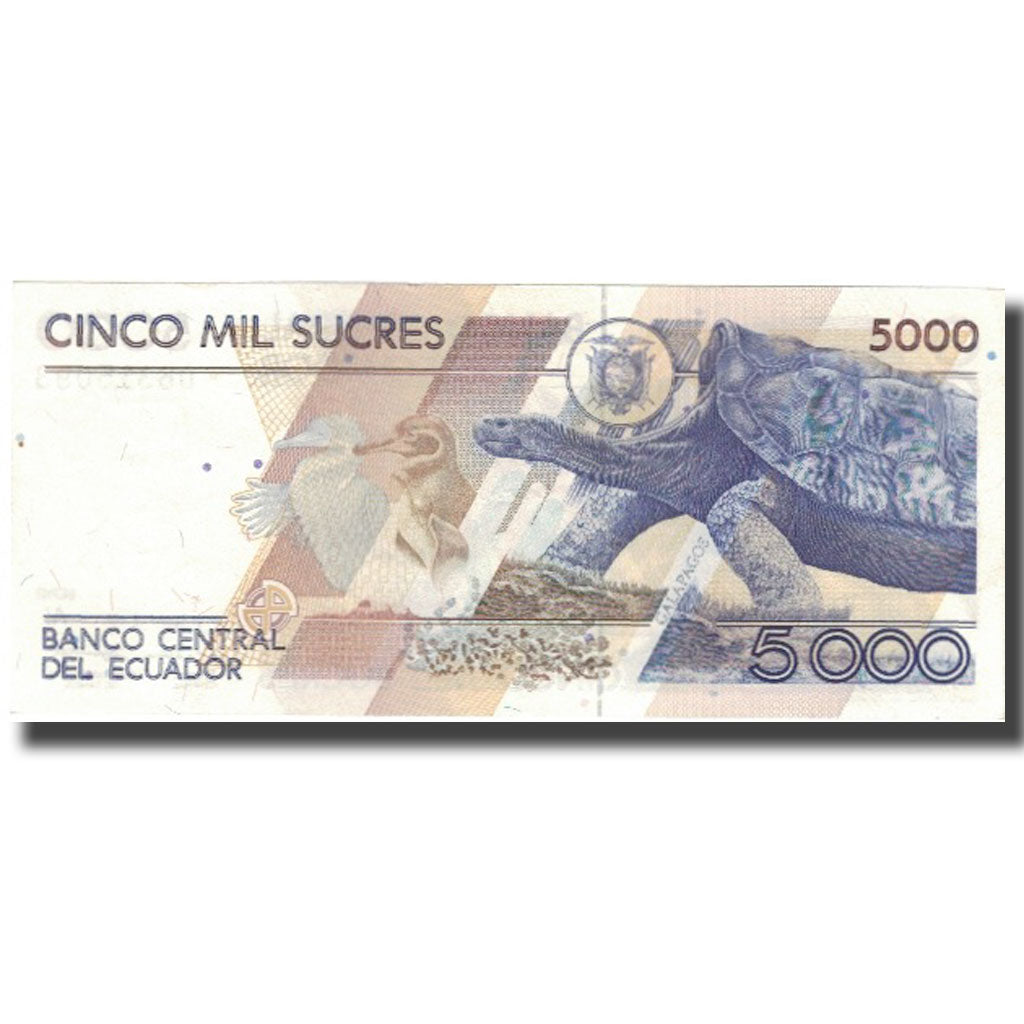 Banknote, Ecuador, 5000 Sucres, 1993, 1993-08-20, KM:128a, UNC(65-70)