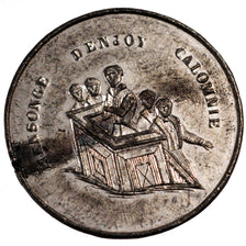 Denjoy Mensonge Calomnie, Médaille