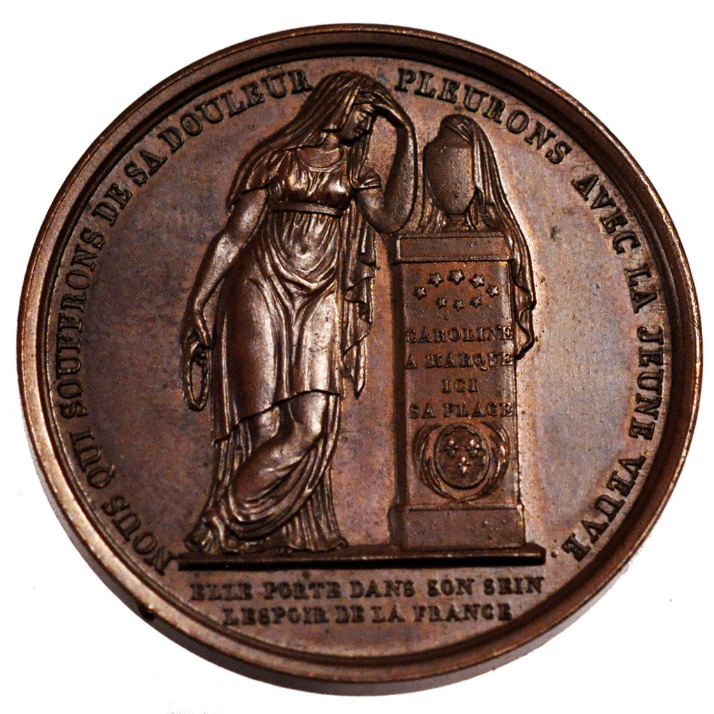France, Medal, Louis XVIII, Politics, Society, War, 1820, AU(55-58), Copper