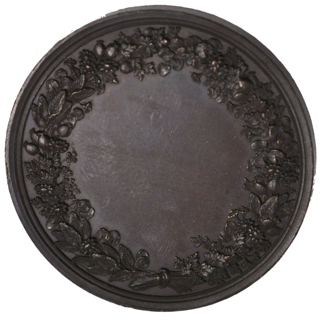 FRANCE, Sciences & Technologies, Louis Philippe I, Medal, AU(55-58), Bronze,...