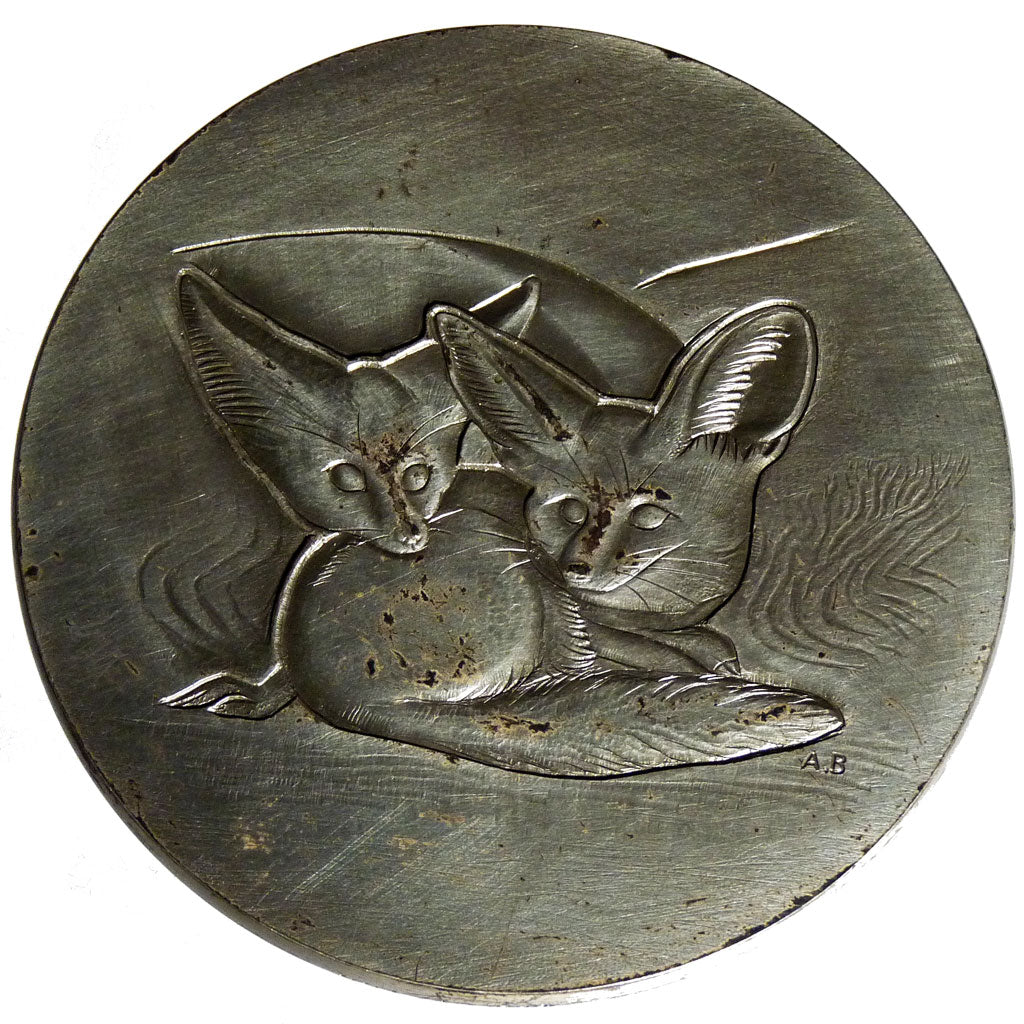 Médaille avec un fennec, Médaille