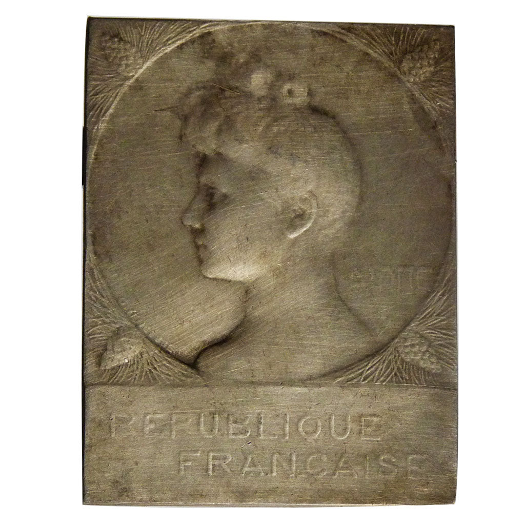 FRANCE, Politics, Society, War, French Third Republic, Medal, EF(40-45),...