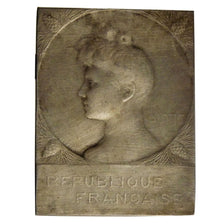 FRANCE, Politics, Society, War, French Third Republic, Medal, EF(40-45),...