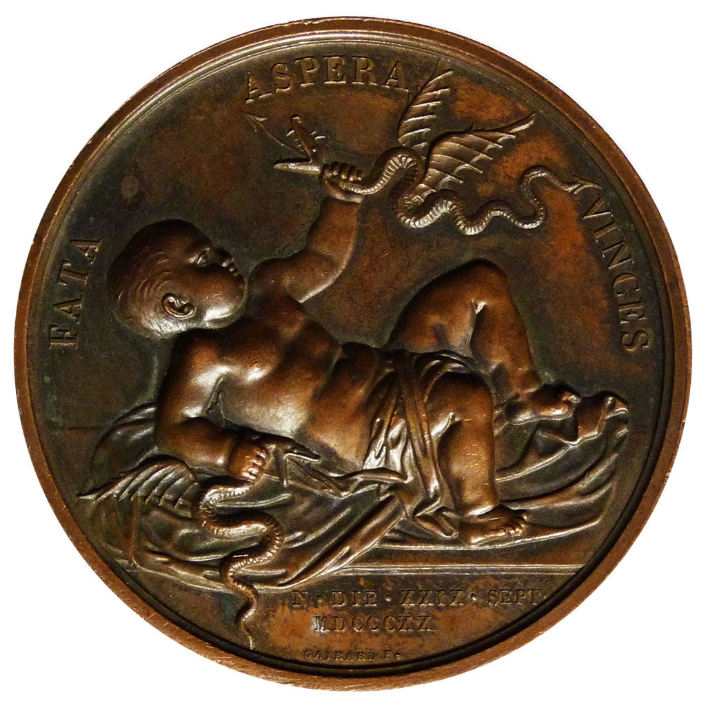 FRANCE, Politics, Society, War, Louis XVIII, Medal, 1820, AU(55-58), Gayrard,...
