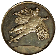 FRANCE, Arts & Culture, French Third Republic, Medal, AU(50-53), Silver, 65.40