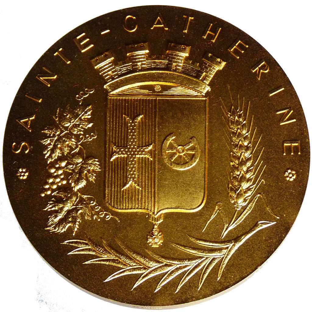 Ville de Sainte Catherine, Médaille