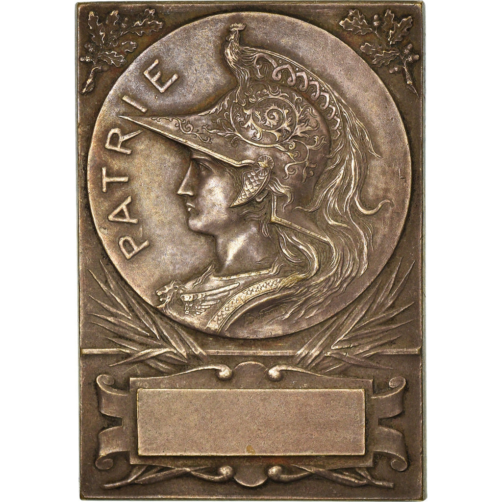 Francia, Medal, French Third Republic, Politics, Society, War, SPL-, Bronzo