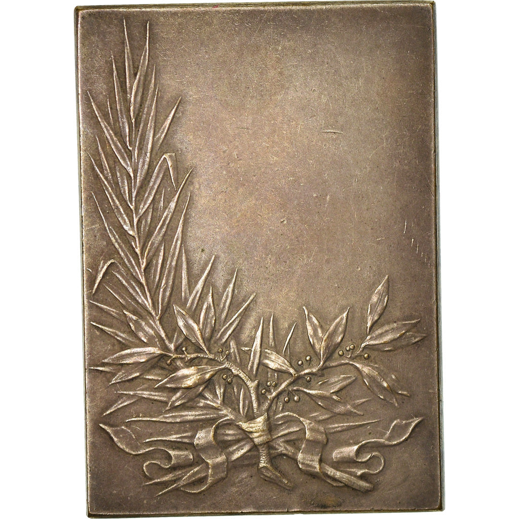 Francia, Medal, French Third Republic, Politics, Society, War, SPL-, Bronzo