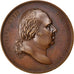 FRANCE, Politics, Society, War, Hundred Days, Medal, 1815, AU(55-58), Andrieu,..