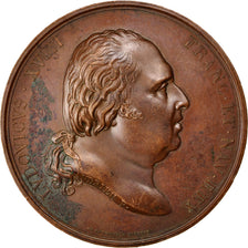 FRANCE, Politics, Society, War, Louis XVIII, Medal, 1818, AU(55-58), Andrieu,...
